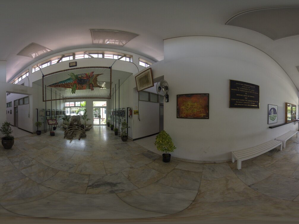 The Wildlife Crocodile Museum