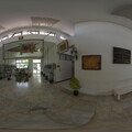 The Wildlife Crocodile Museum