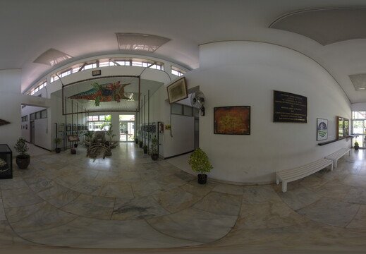 The Wildlife Crocodile Museum