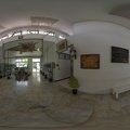 The Wildlife Crocodile Museum
