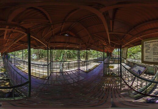 The Palawan Wildlife Rescue and Conservation Center