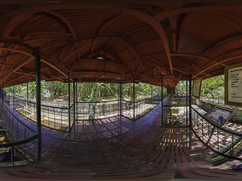 The Palawan Wildlife Rescue and Conservation Center