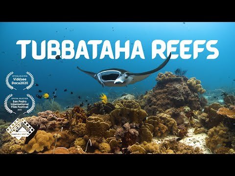 Thumbnail sa YouTube ng dokumentaryo ni Aaron Palabyab tungkol sa Tubbataha Reefs.